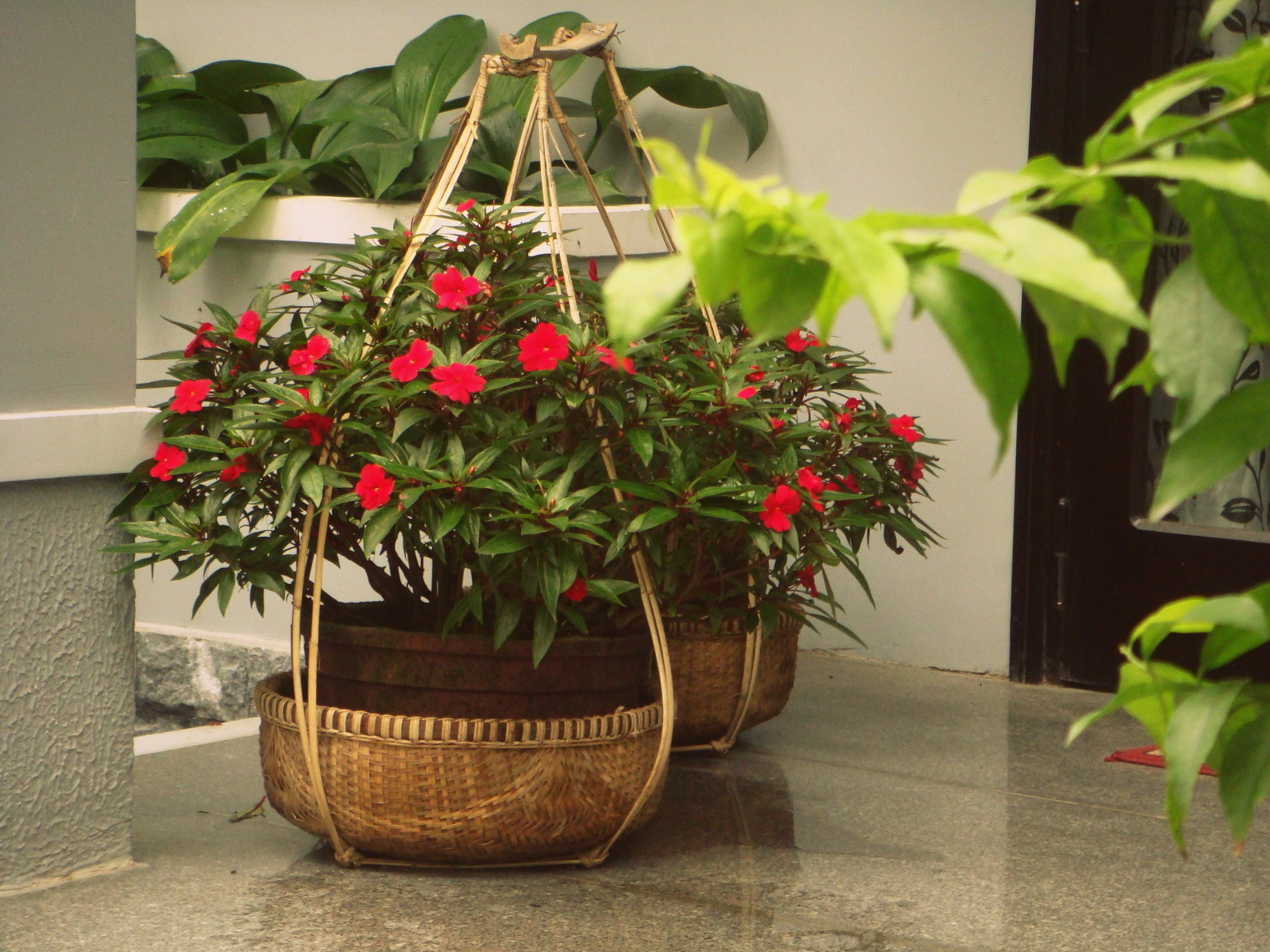 Green Coco Homestay Hoi An Bagian luar foto
